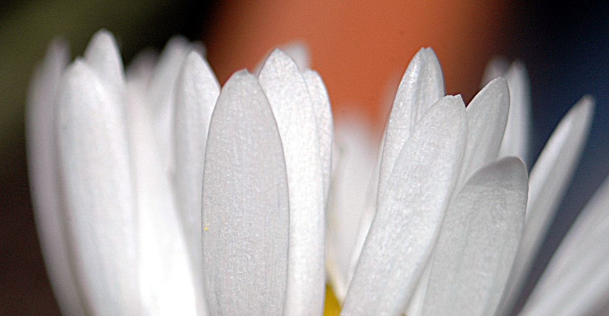 AF Zoom-Nikkor 35-70mm f/3.3-4.5 N sample photo. # photography