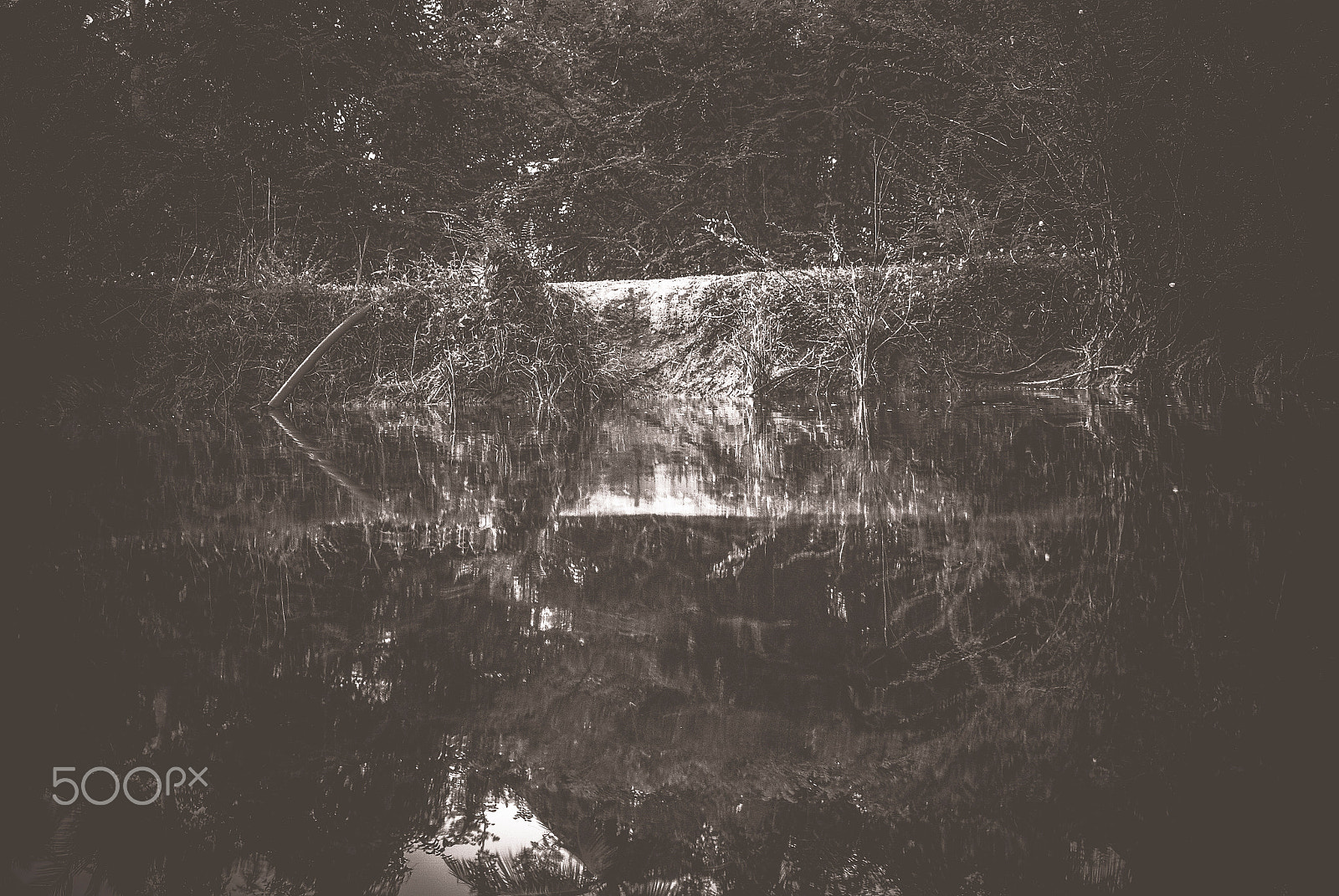 Nikon D40X sample photo. There is no better designer than nature.. photography
