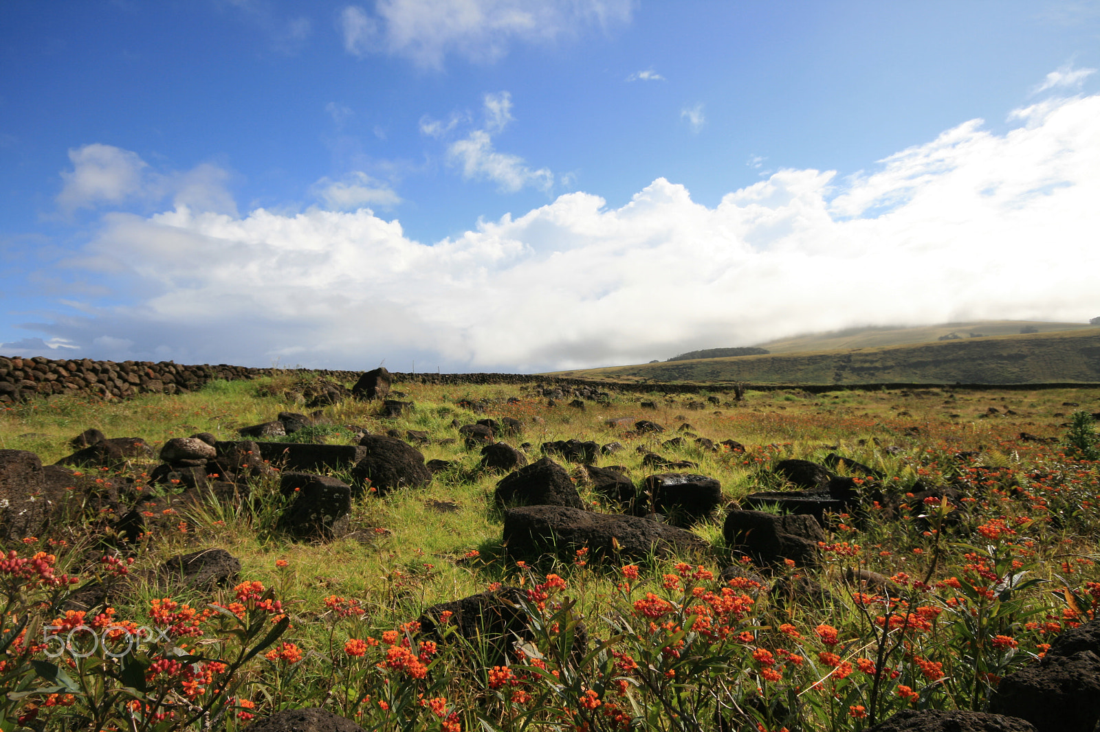 Canon EOS 400D (EOS Digital Rebel XTi / EOS Kiss Digital X) sample photo. Beautiful country - toongariki - easter island photography
