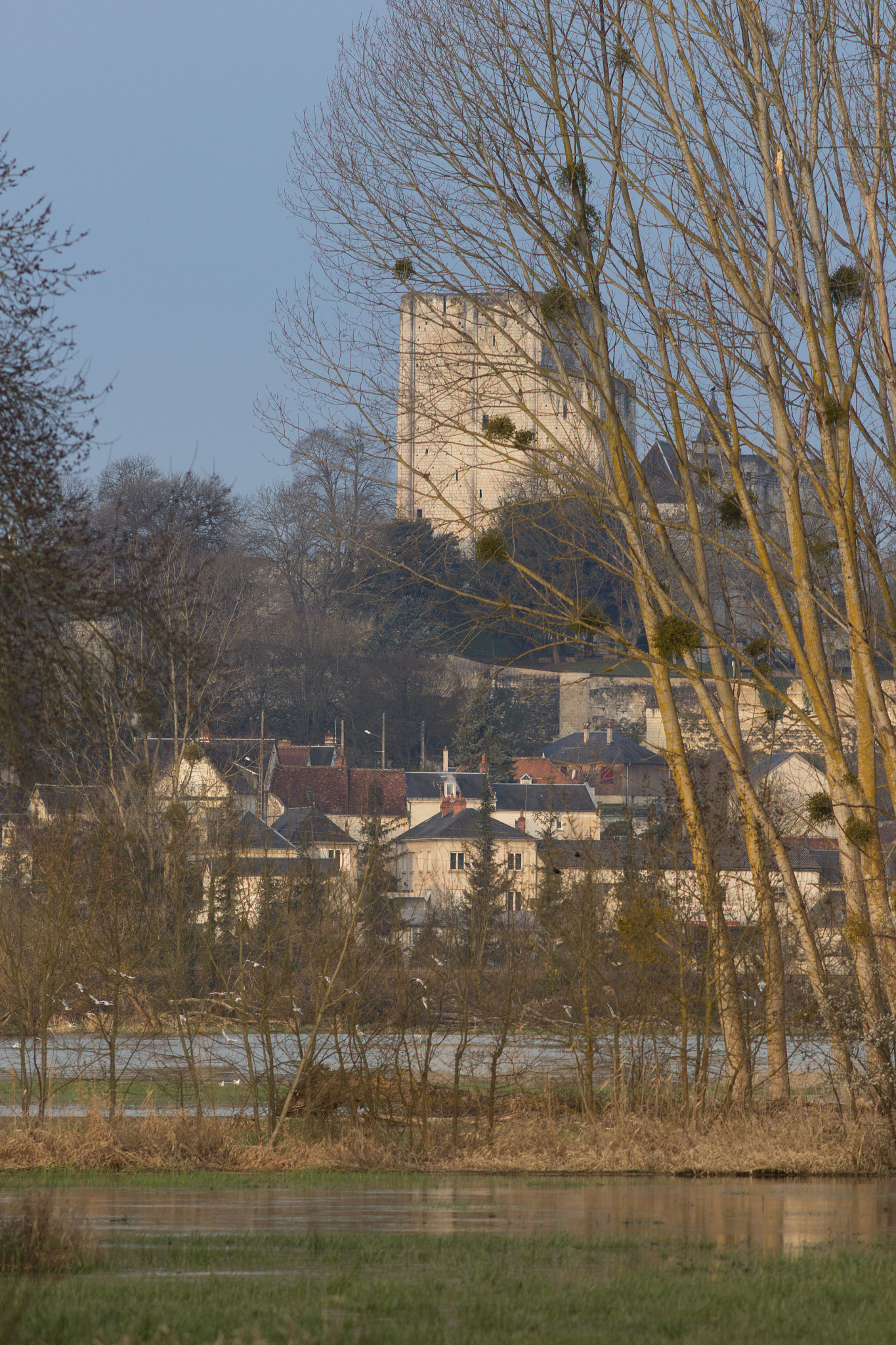 Canon EOS 60D + Canon EF 200mm F2.8L II USM sample photo. Donjon, loches city (france) photography