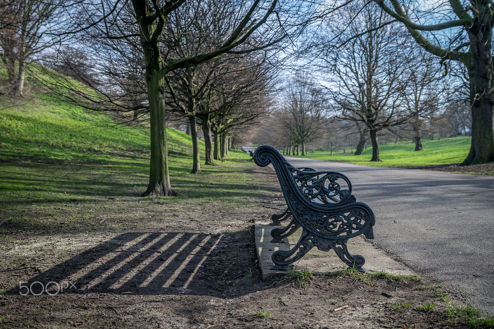 Tamron SP 24-70mm F2.8 Di VC USD sample photo. The bench photography