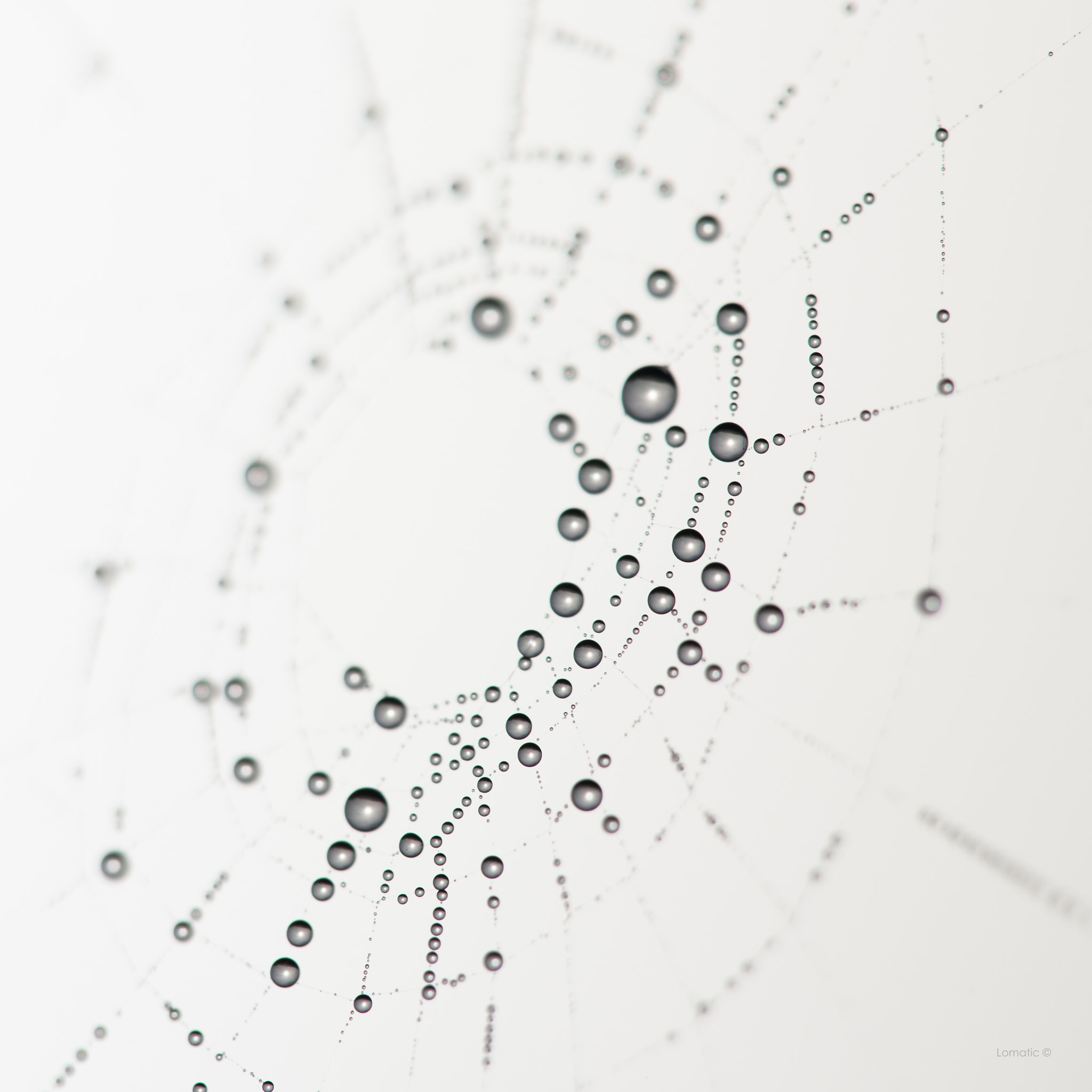 Sigma 150mm F2.8 EX DG Macro HSM sample photo. Arachne's worlds photography
