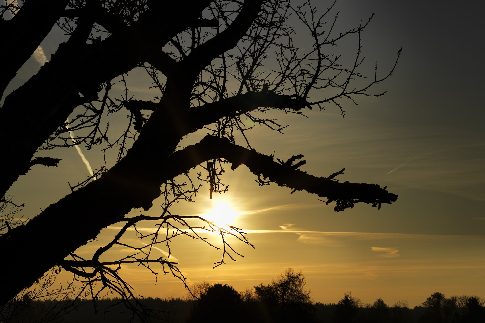 Hasselblad H5D-40 + HC 80 sample photo. Sunrise photography