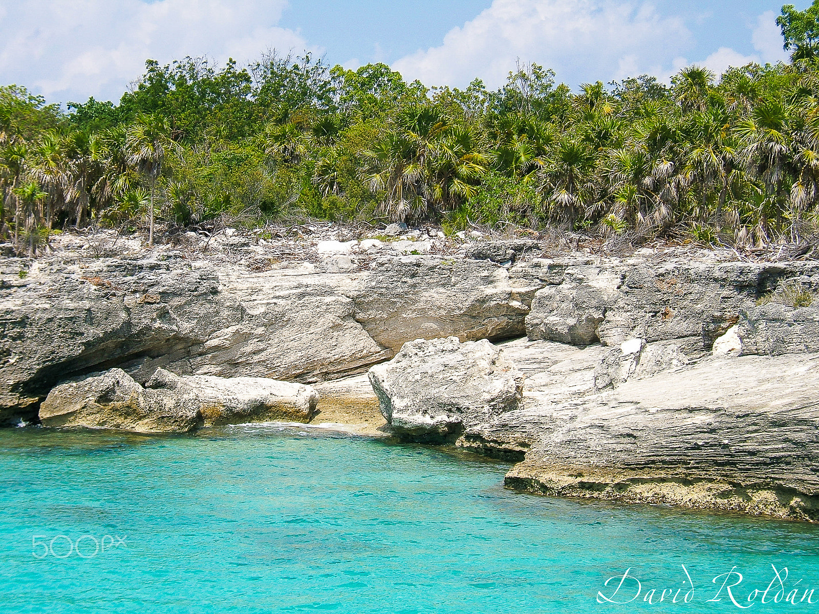 Fujifilm FinePix E550 sample photo. Riviera maya, méxico photography