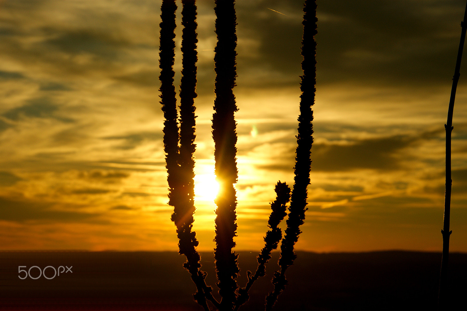 Sony Alpha DSLR-A350 + Sigma 18-200mm F3.5-6.3 DC sample photo. Sunset photography