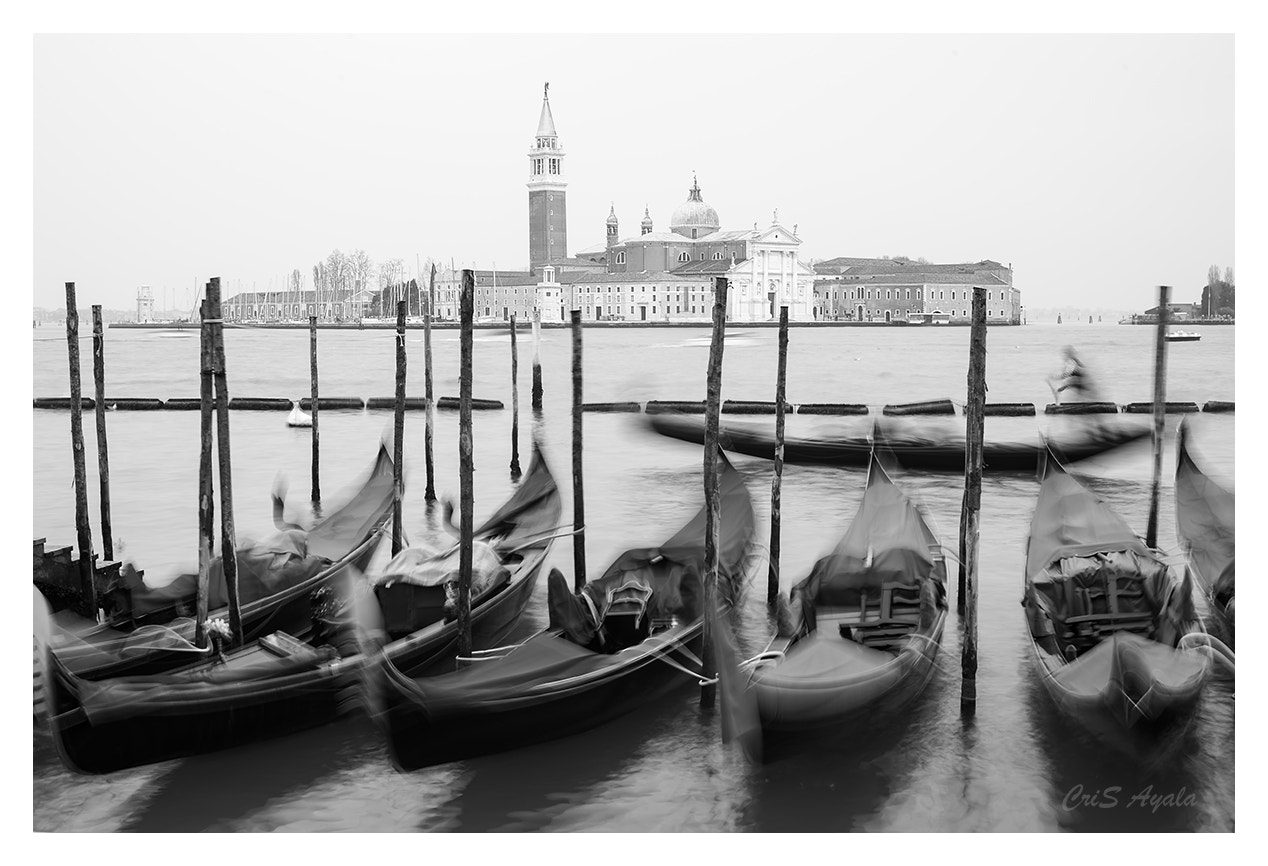 Nikon D4 + Sigma 50mm F1.4 EX DG HSM sample photo. Greetings from venice photography