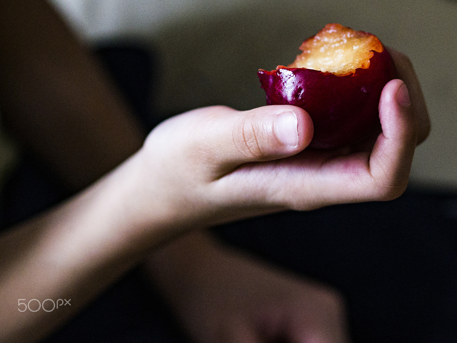 Panasonic Lumix DMC-G7 + Olympus M.Zuiko Digital 45mm F1.8 sample photo. Plum eater photography