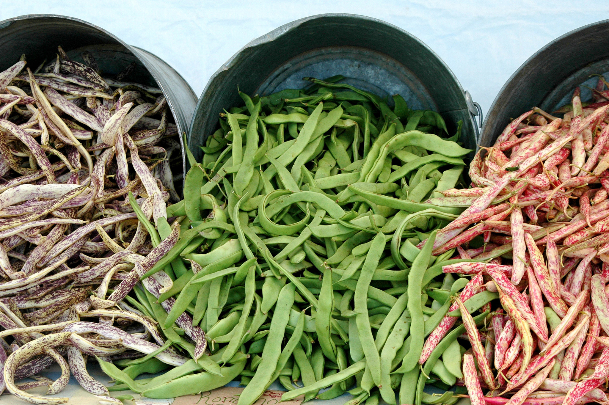 Nikon D70 sample photo. String beans. photography