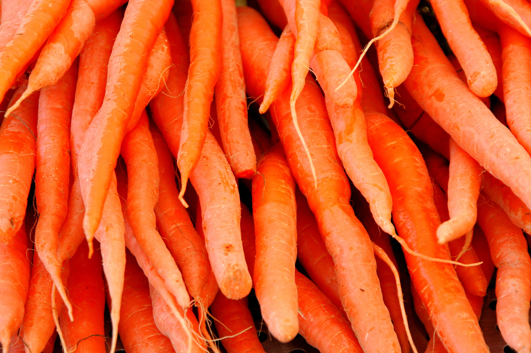 Nikon D70 sample photo. Carrots. photography