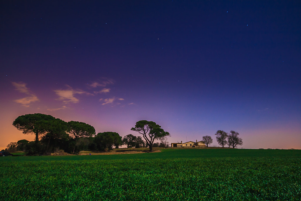Tokina AT-X Pro 12-24mm F4 (IF) DX sample photo. Esclet sota els estels photography