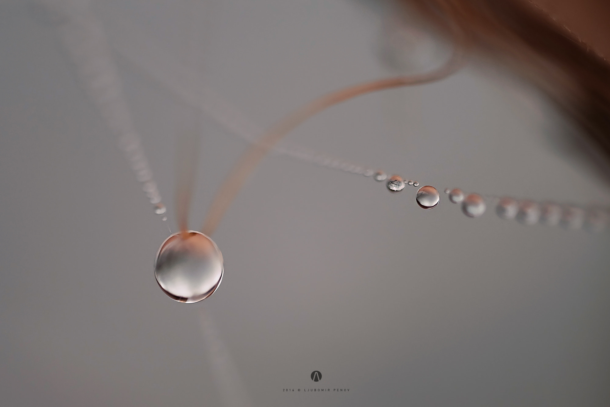 Fujifilm X-A2 + ZEISS Touit 50mm F2.8 sample photo. Drops photography