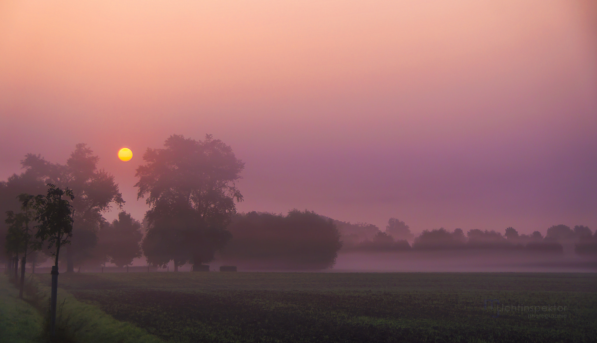 Sony DT 18-250mm F3.5-6.3 sample photo. Morgennebel über hamm-wiescherhöfen photography