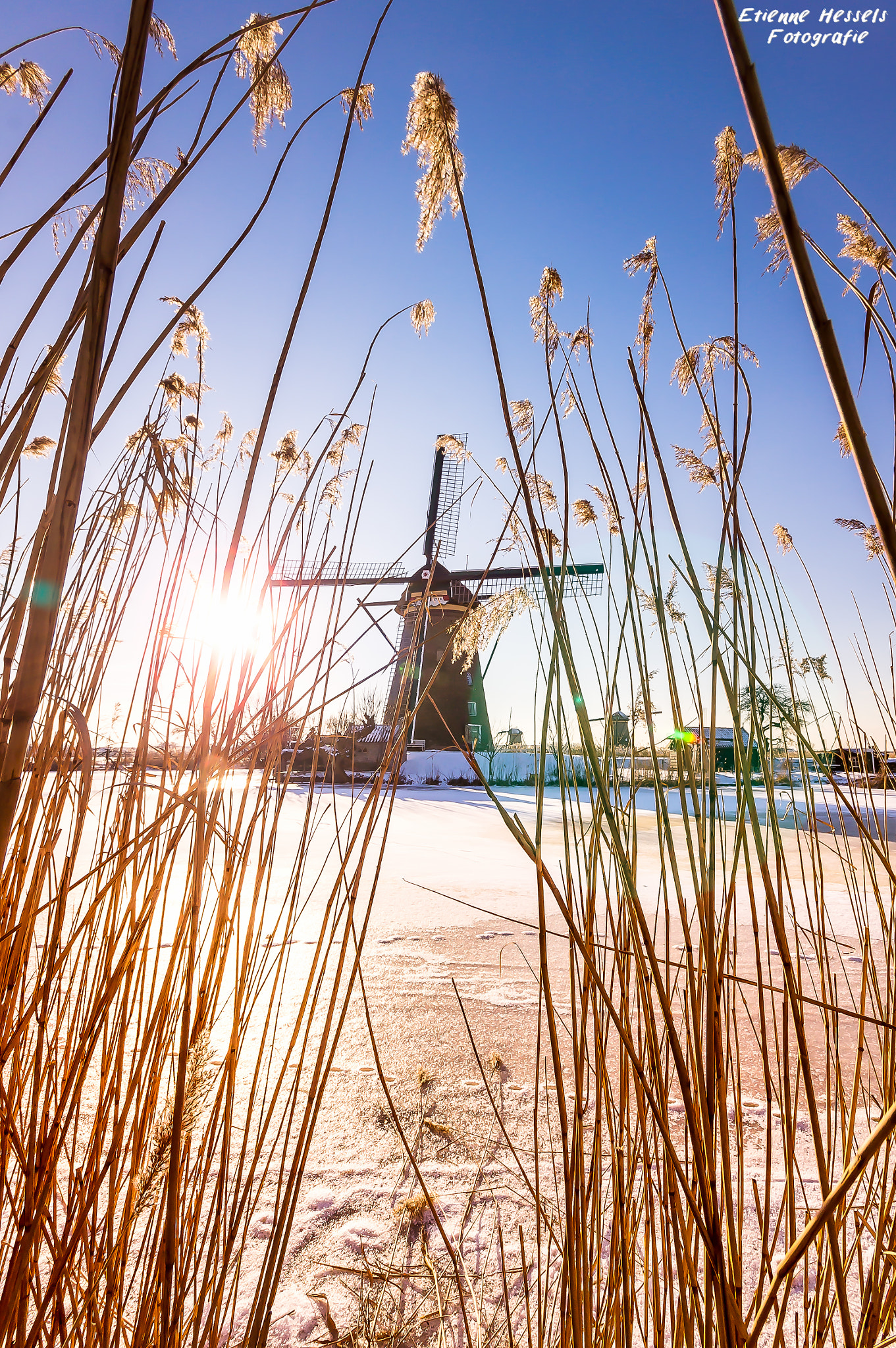 Sony Alpha DSLR-A580 sample photo. Dutch windmill in wintertime kinderdijk photography