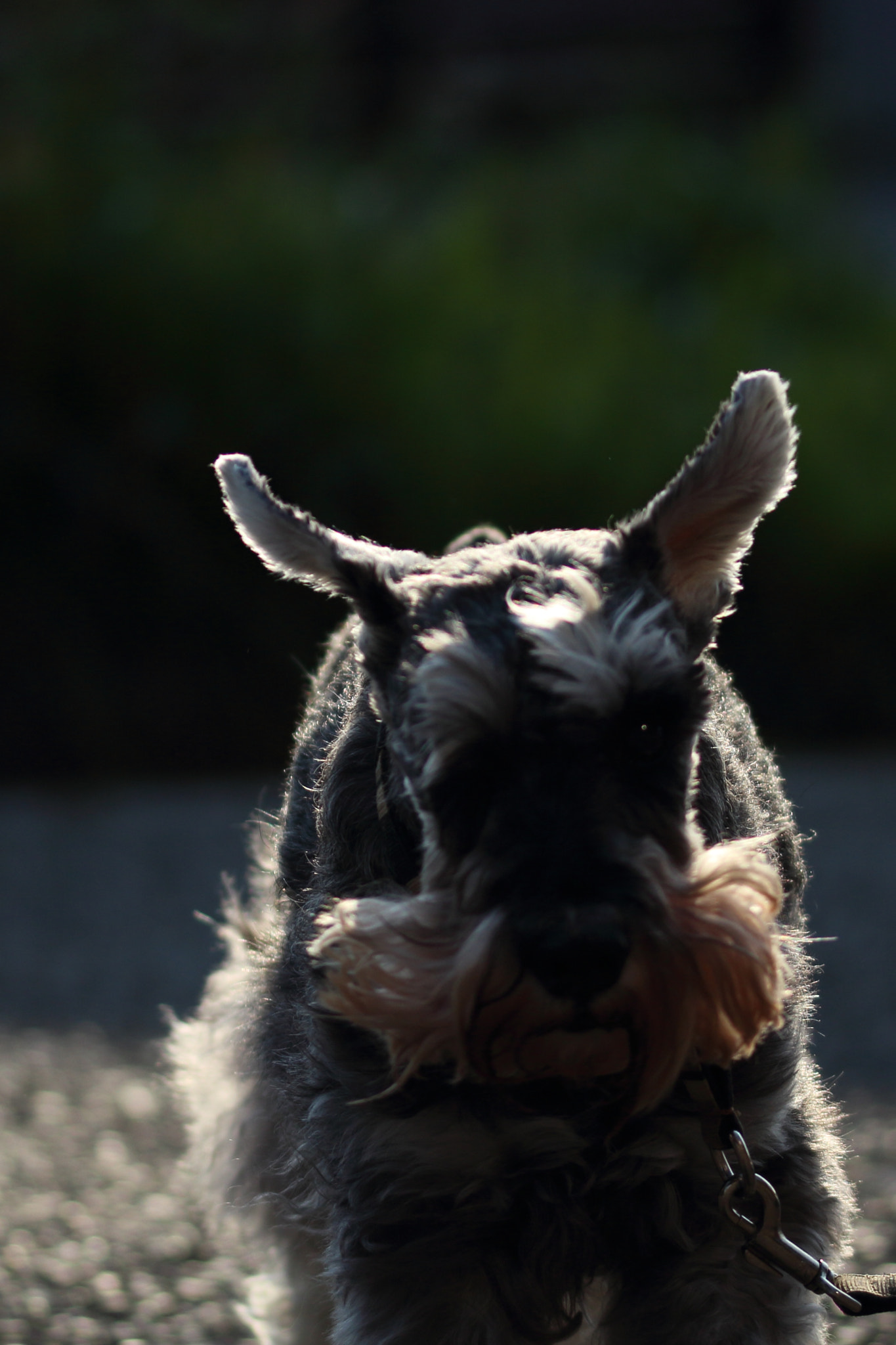 Canon EOS 700D (EOS Rebel T5i / EOS Kiss X7i) sample photo. Play of light photography