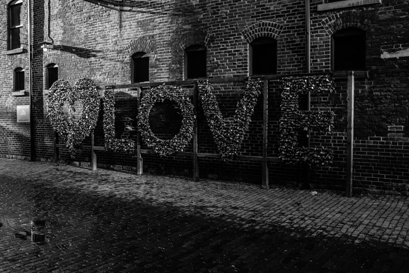 Nikon D610 + Nikon AF-S Nikkor 35mm F1.4G sample photo. Mediate out of love for the world photography