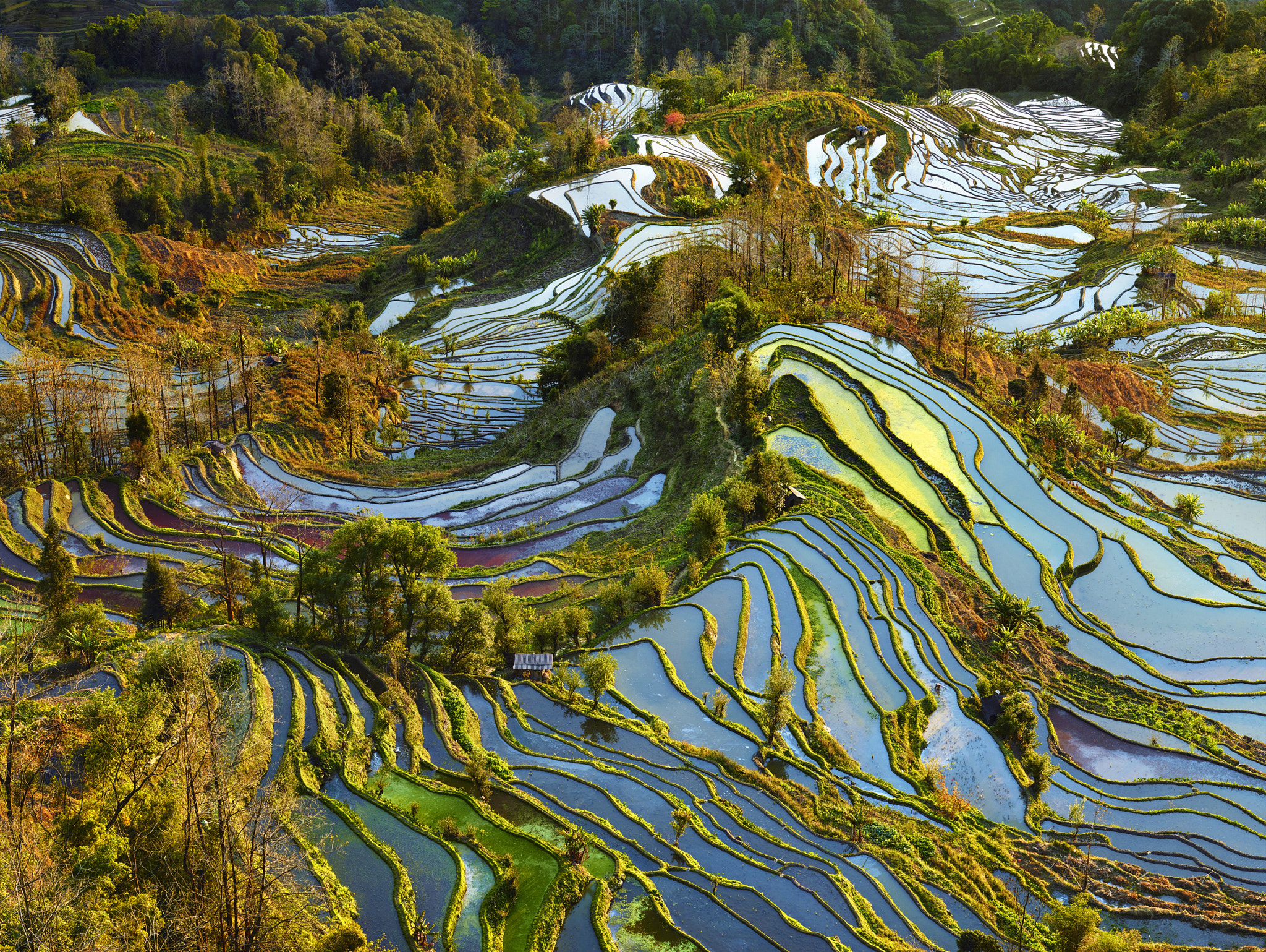 Phase One IQ280 sample photo. Terraces of pastel photography