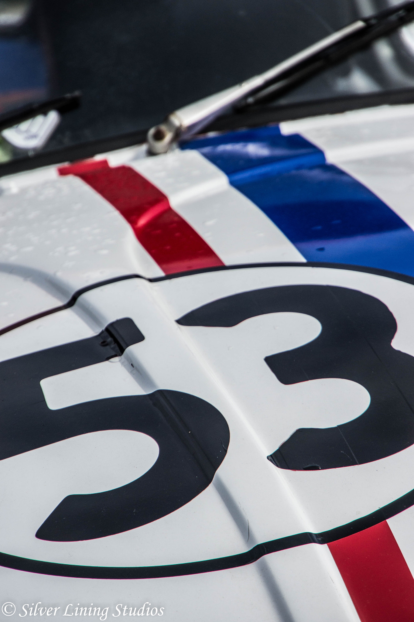 Sony Alpha NEX-3 sample photo. Herbie photography