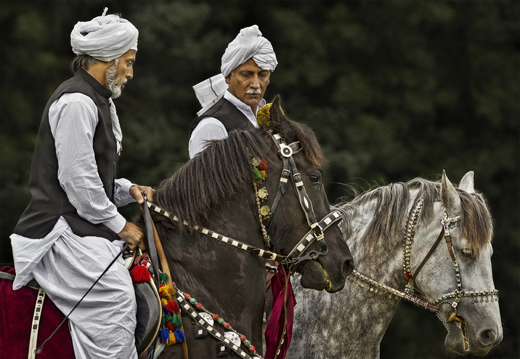 Canon EF 100-400mm F4.5-5.6L IS USM sample photo. Arabian knights photography