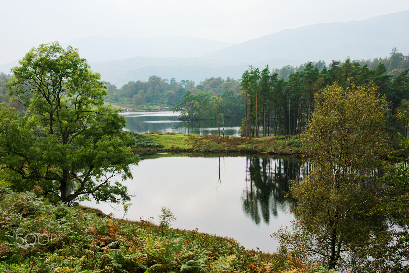 Tamron 18-270mm F3.5-6.3 Di II PZD sample photo. Tarn hows, cumbria, uk, photography