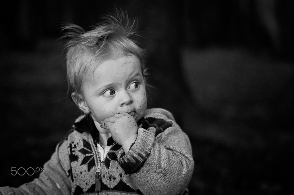 Nikon D5100 + Sigma 50mm F1.4 EX DG HSM sample photo. . photography