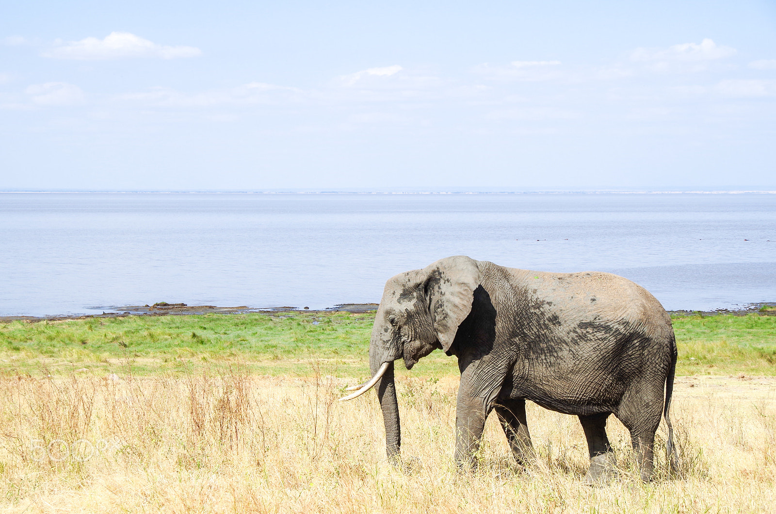 Pentax K-30 sample photo. Tanzania, lake manyara photography