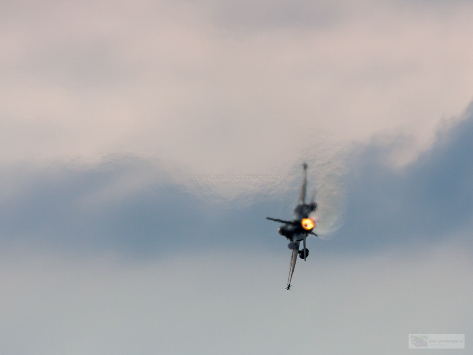 Canon EOS 50D + Canon EF 200mm F2.8L II USM sample photo. Jelly photography