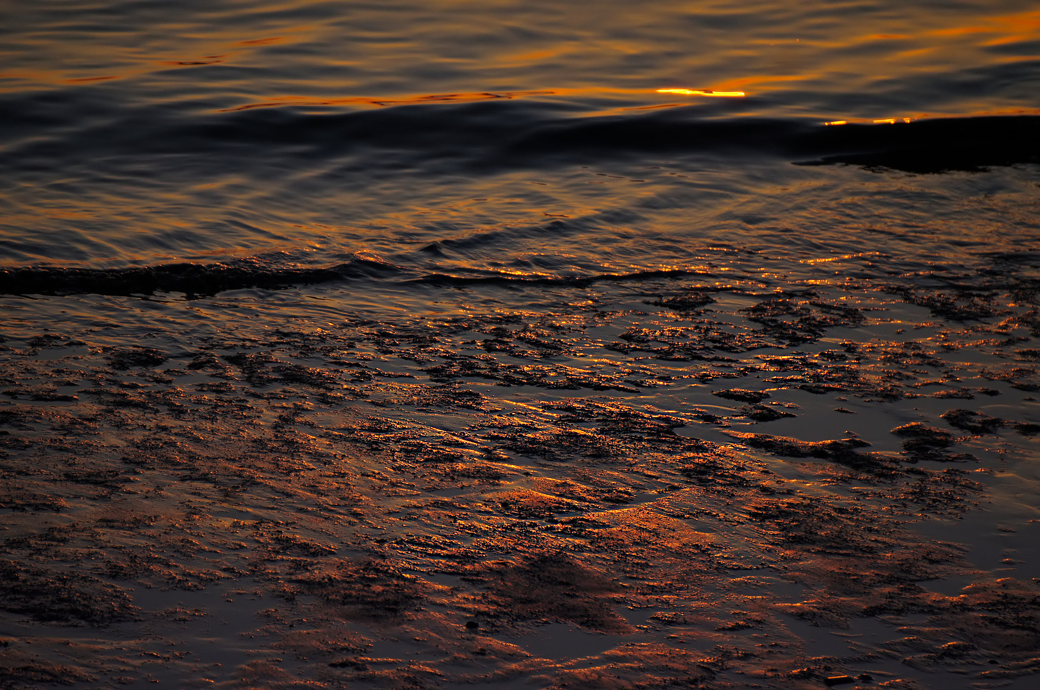 Sony Alpha NEX-C3 + Sony E 55-210mm F4.5-6.3 OSS sample photo. Tamsui river 8 photography