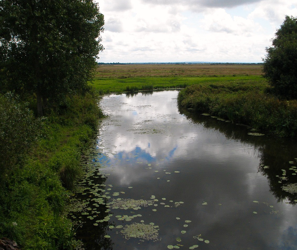 Olympus FE340,X855,C560 sample photo. River reflexions photography