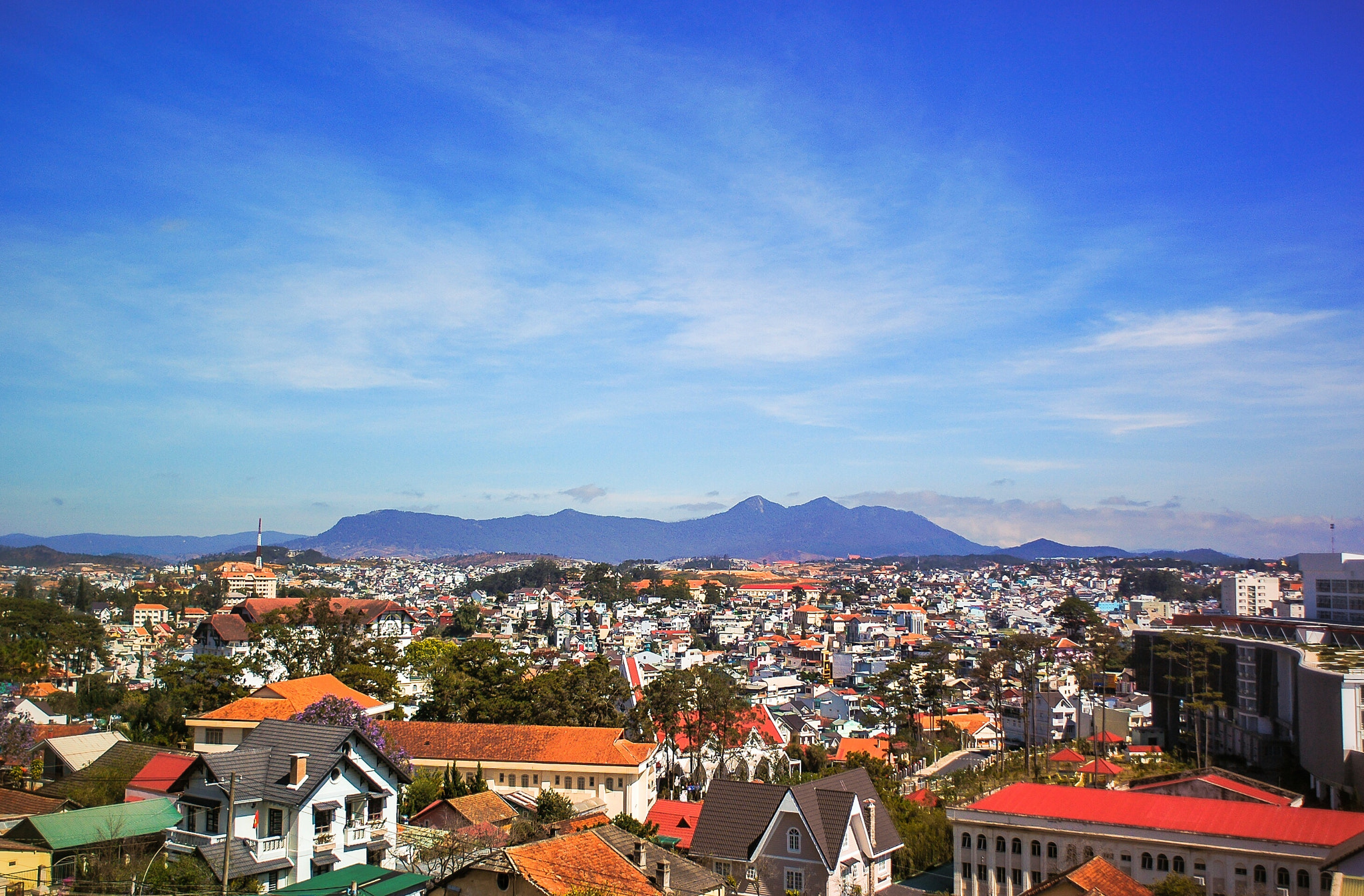 Nikon D70s + Nikon AF Nikkor 24mm F2.8D sample photo. On top of the crazy house photography
