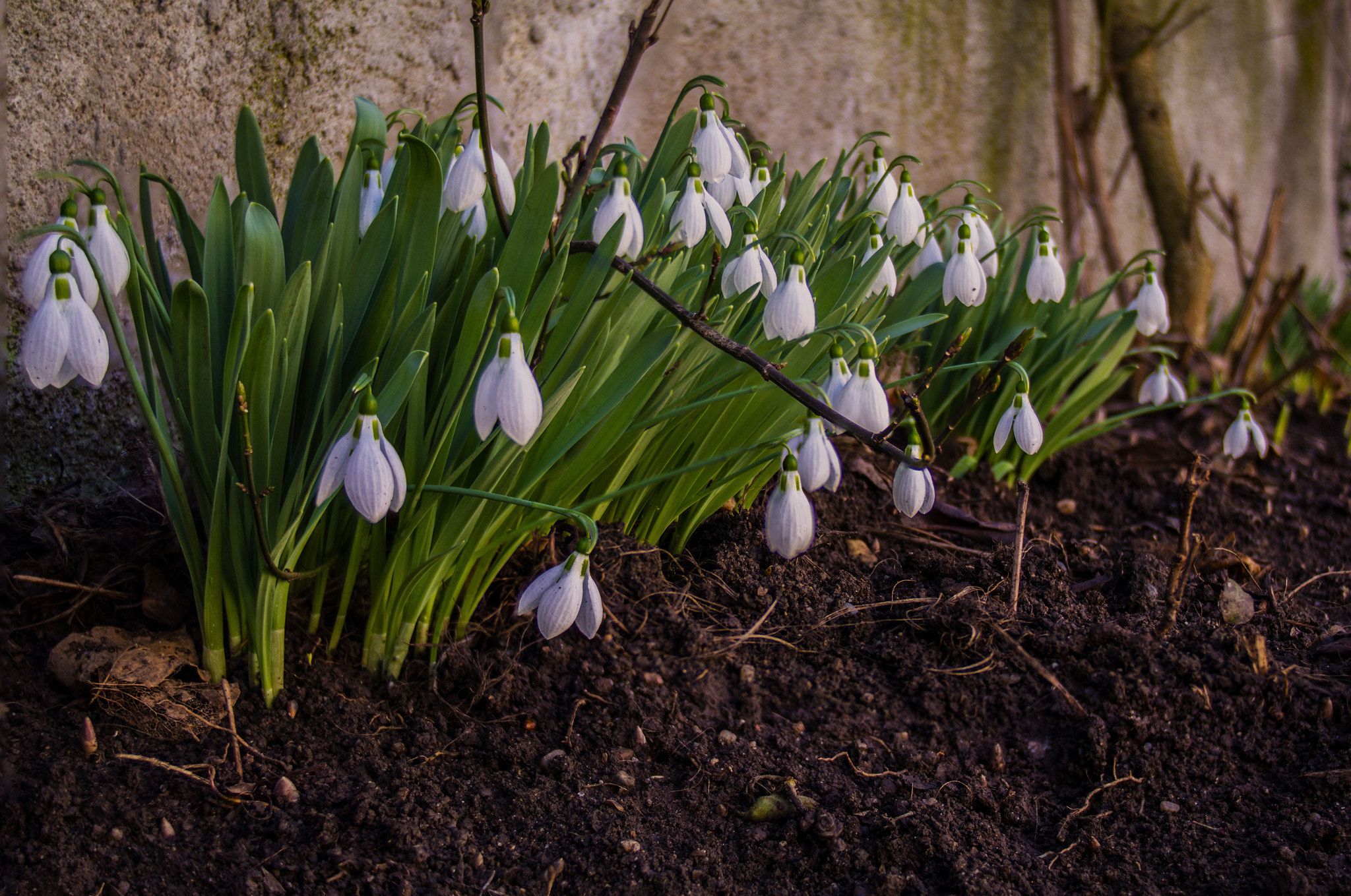 Canon EOS 60D + Tamron AF 19-35mm f/3.5-4.5 sample photo. Ultronghiostack photography