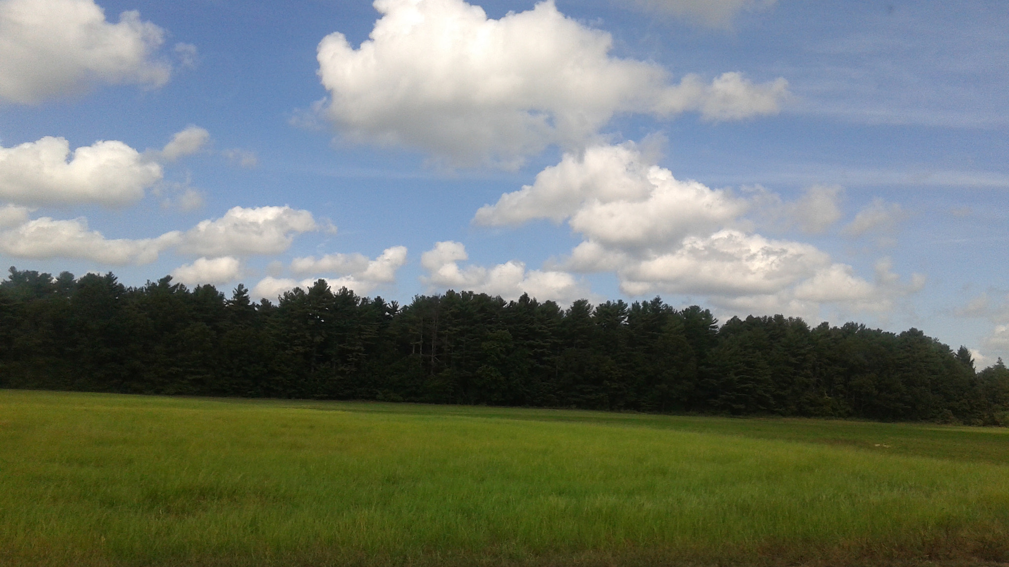 Samsung Galaxy Avant sample photo. Blue skies, green grass photography