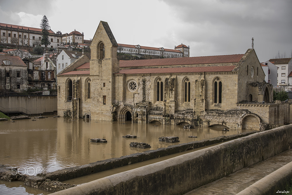 Nikon D600 sample photo. Agua photography