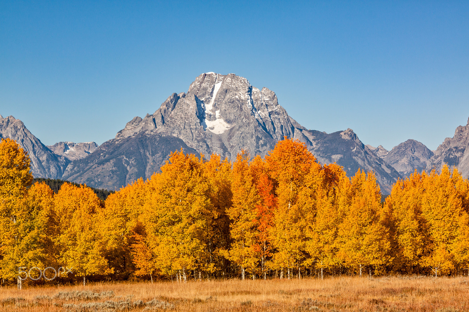 Canon EOS 50D + EF28-70mm f/2.8L USM sample photo. Autumn in the tetons photography
