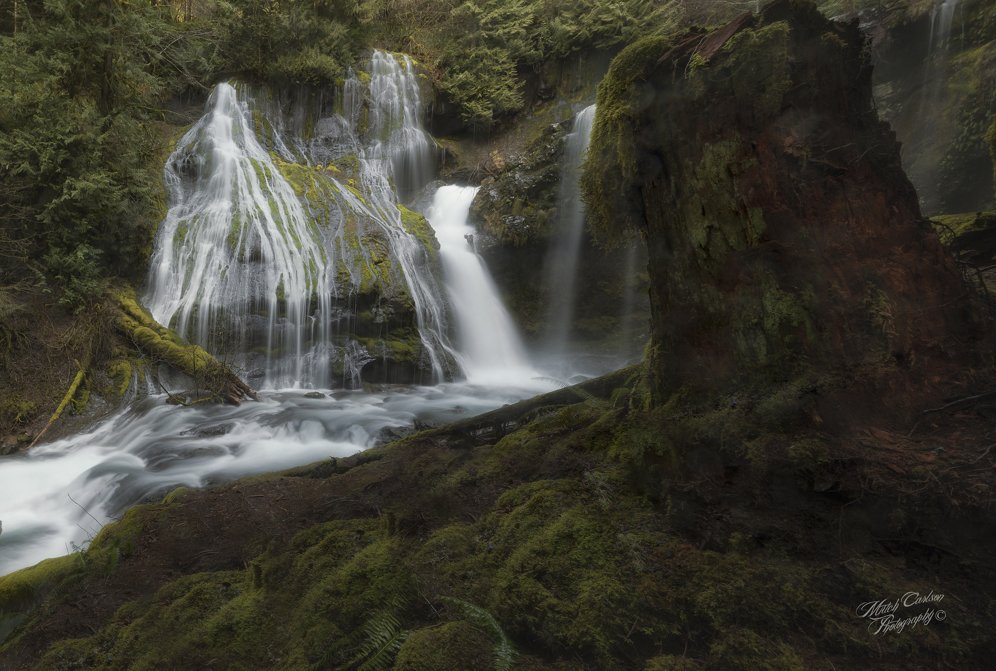 Nikon AF-S Nikkor 18-35mm F3.5-4.5G ED sample photo. Nature kiss photography