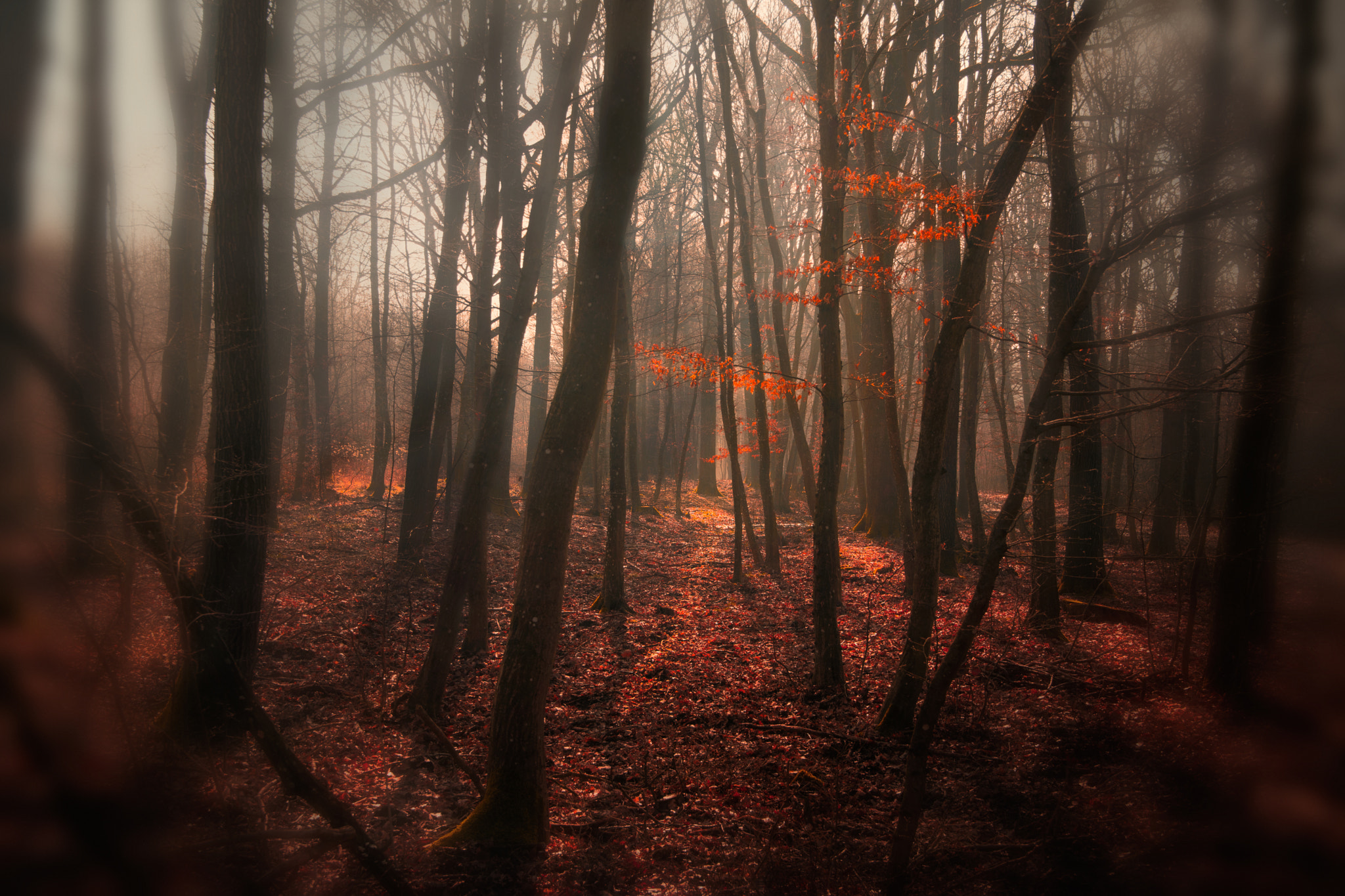 Nikon D7100 + Sigma 18-50mm F2.8 EX DC sample photo. Dreaming while you sleep photography