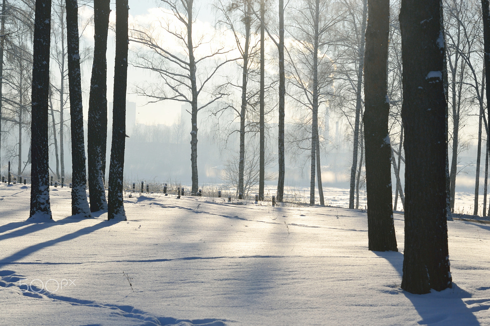 Nikon D3100 + Nikon AF-S Nikkor 24-85mm F3.5-4.5G ED VR sample photo. Winter landscape with trees. photography