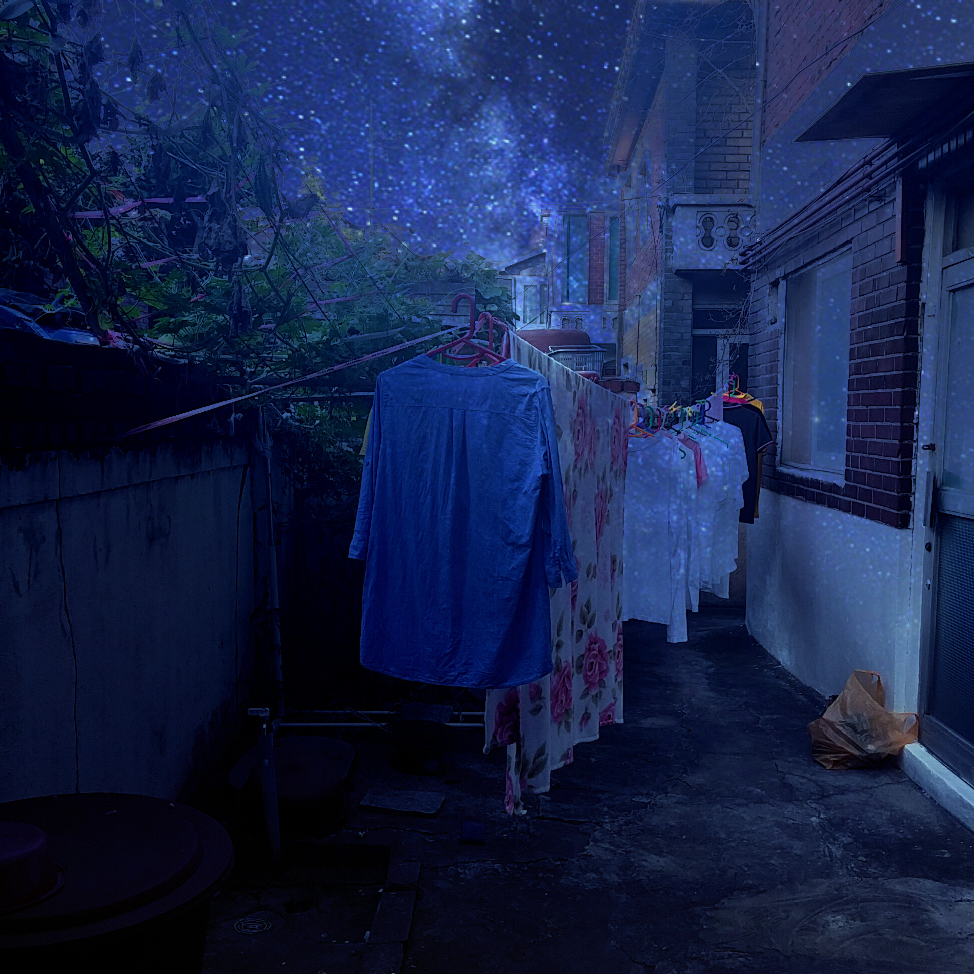 LG G3 CAT.6 sample photo. Starstarstar photography