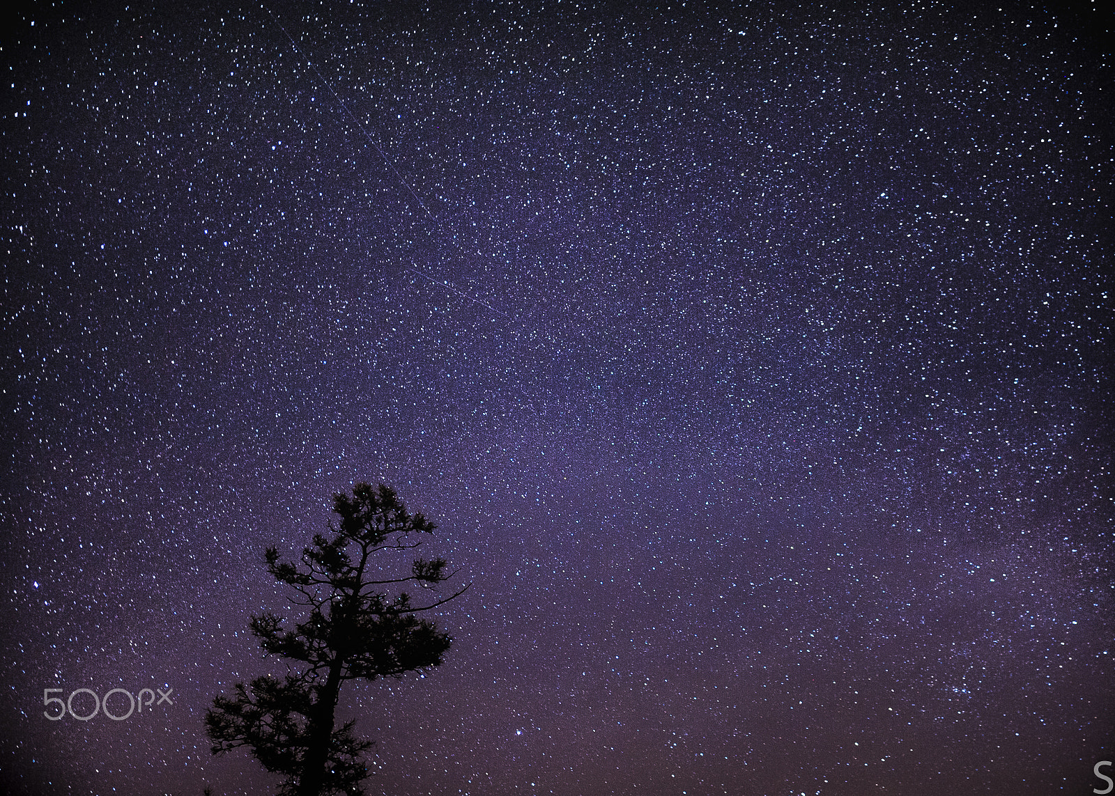 Nikon D700 + Nikon AF-S Nikkor 20mm F1.8G ED sample photo. Burford stars photography