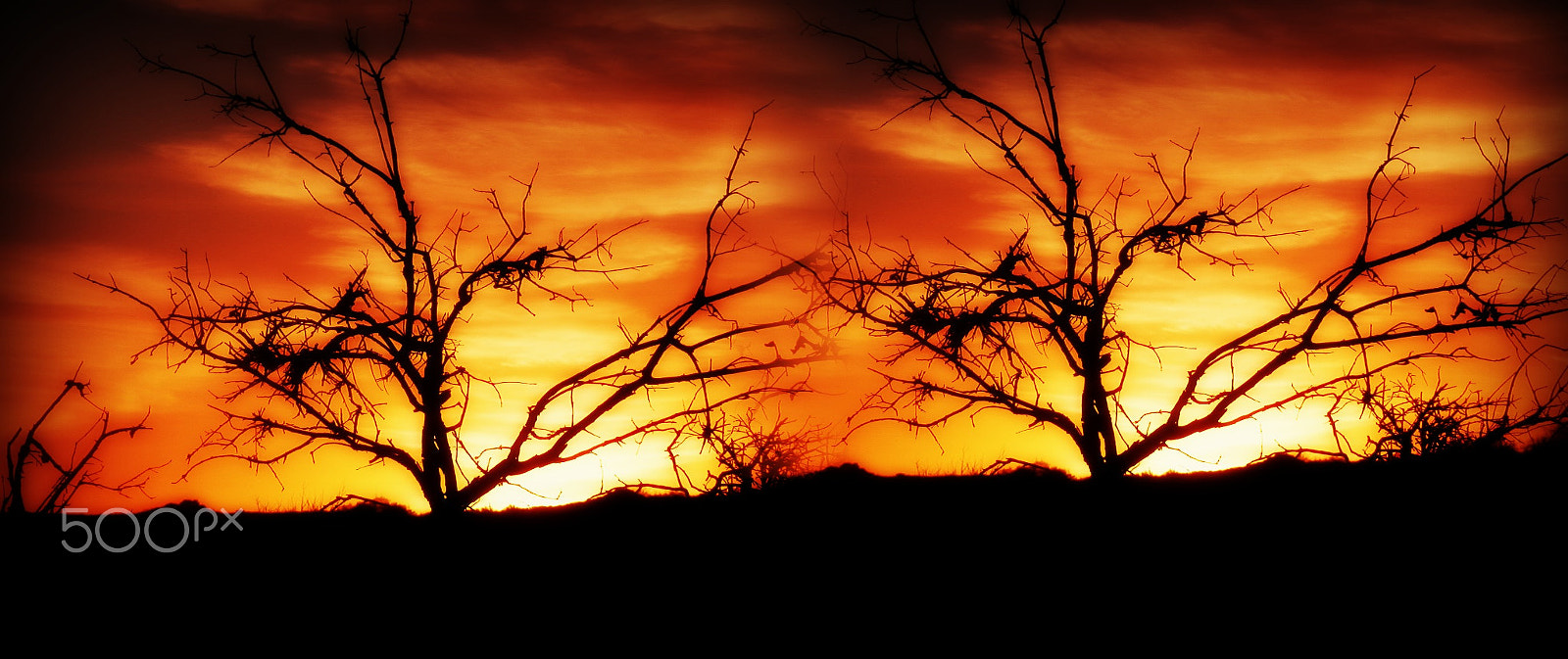 Olympus SZ-12 sample photo. The desert sunrise photography