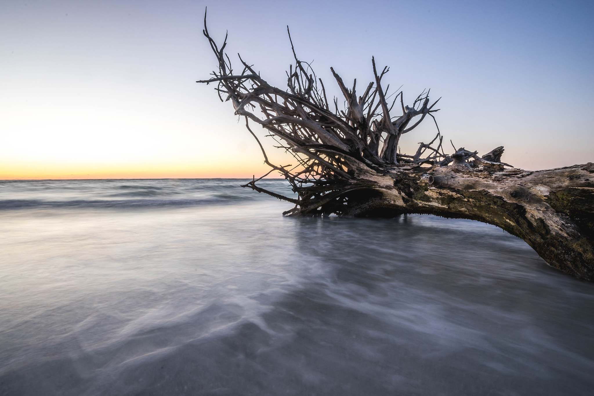 Sony a7 + Tamron SP 24-70mm F2.8 Di VC USD sample photo. Longboat key photography