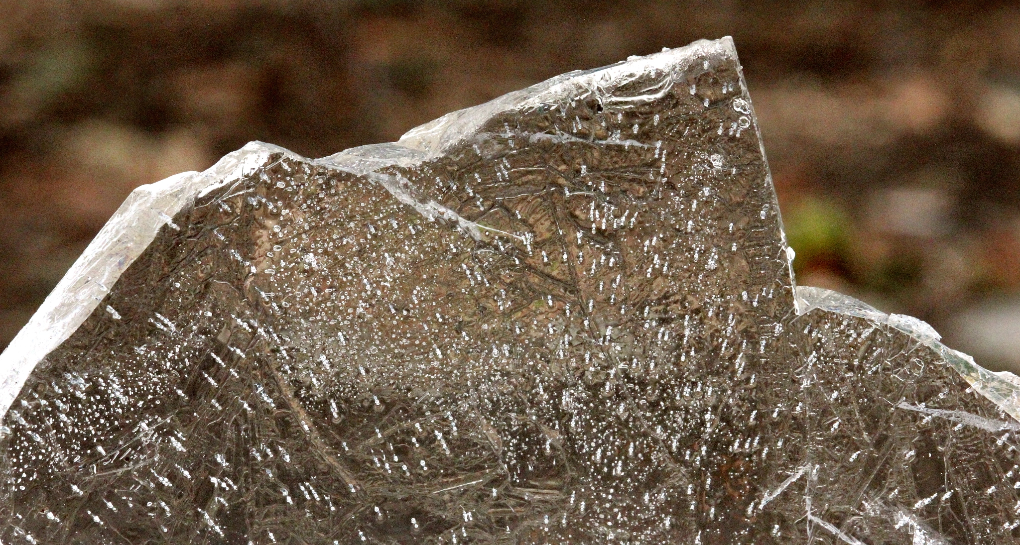Canon EF-S 55-250mm F4-5.6 IS STM sample photo. Iceberg dead ahead! photography