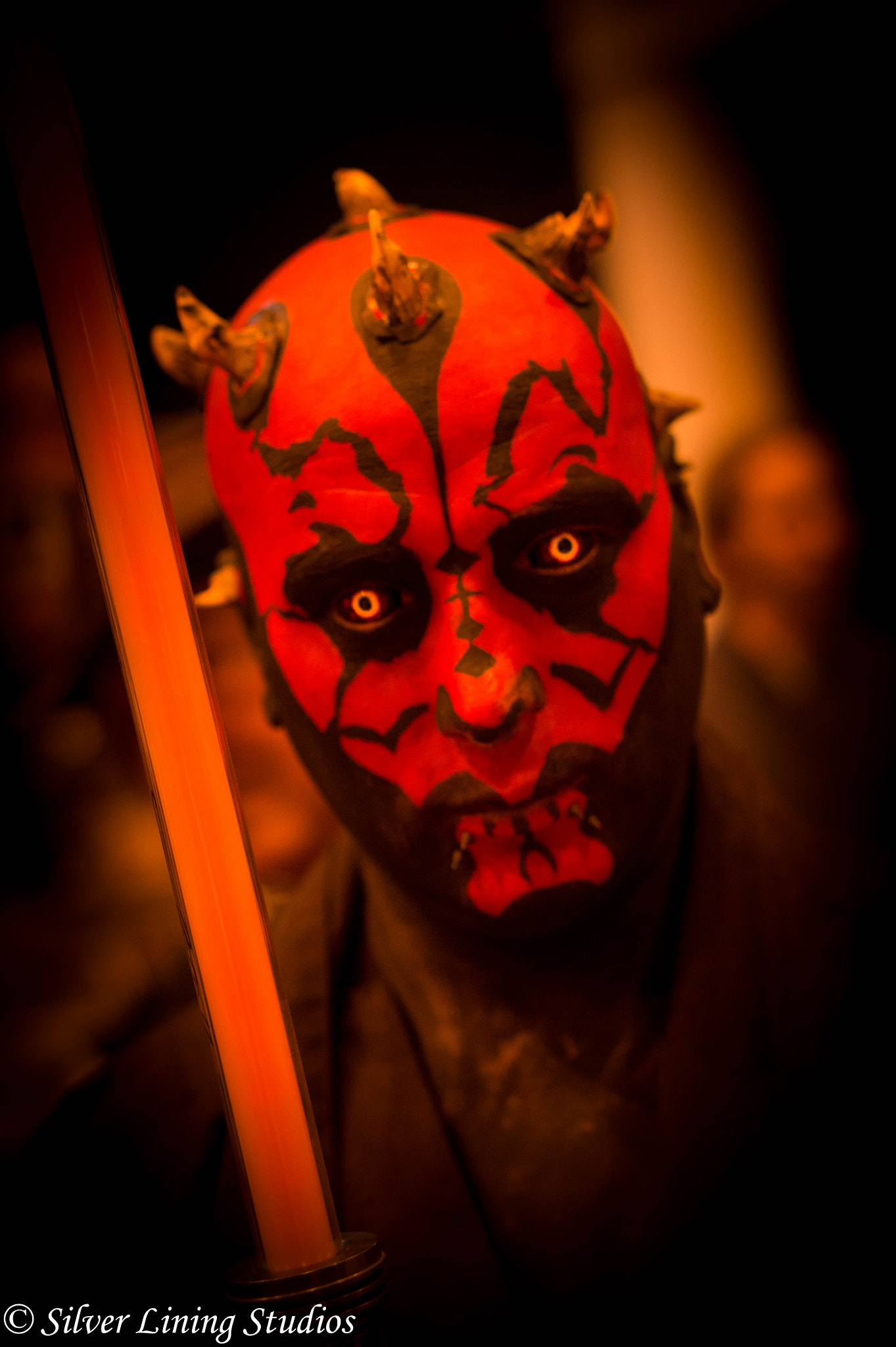 Sony Alpha NEX-3 + E 50mm F1.8 OSS sample photo. Darth maul photography