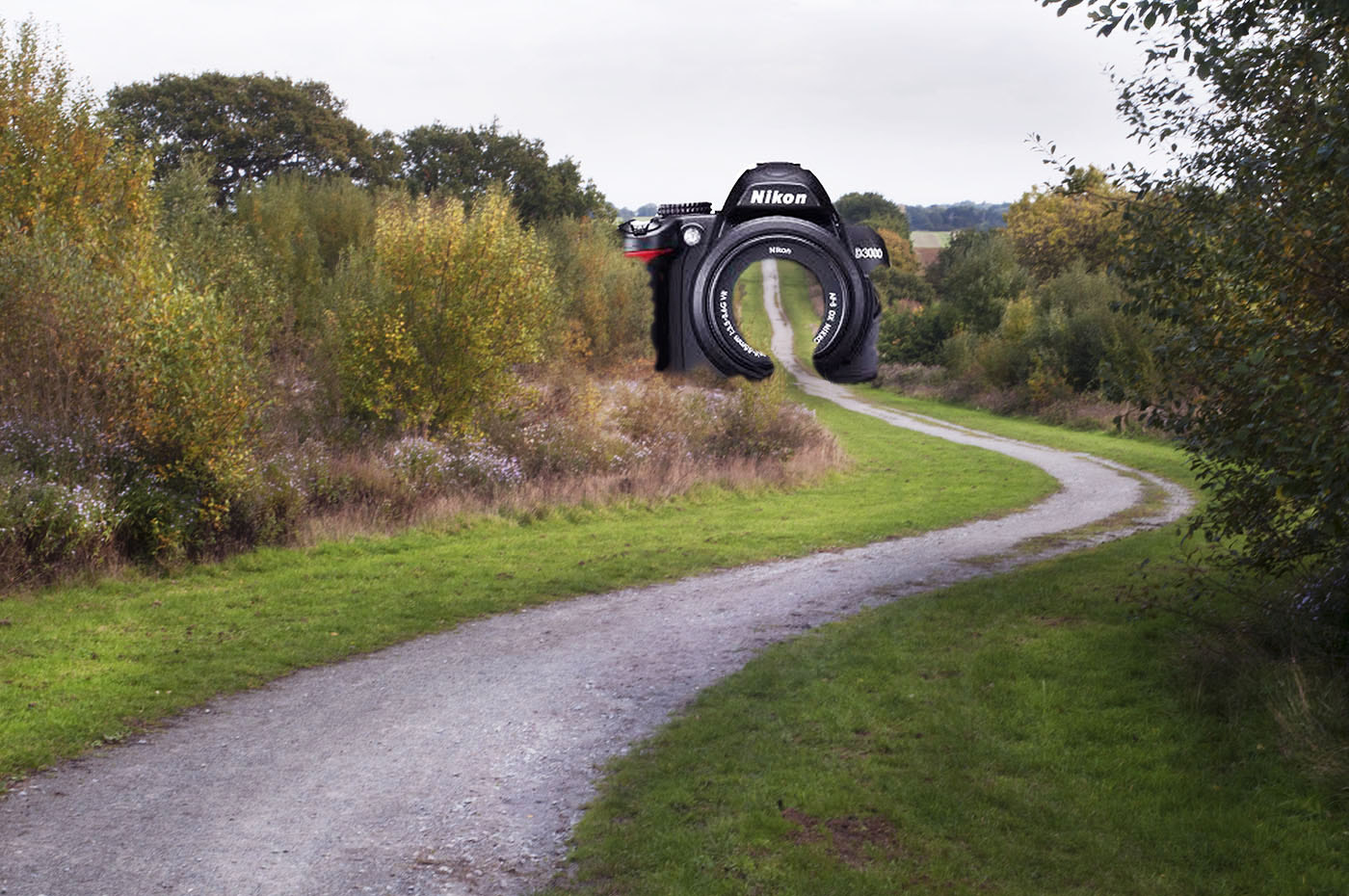 Nikon D300 + Sigma 24-70mm F3.5-5.6 Aspherical HF sample photo. Nikon road photography