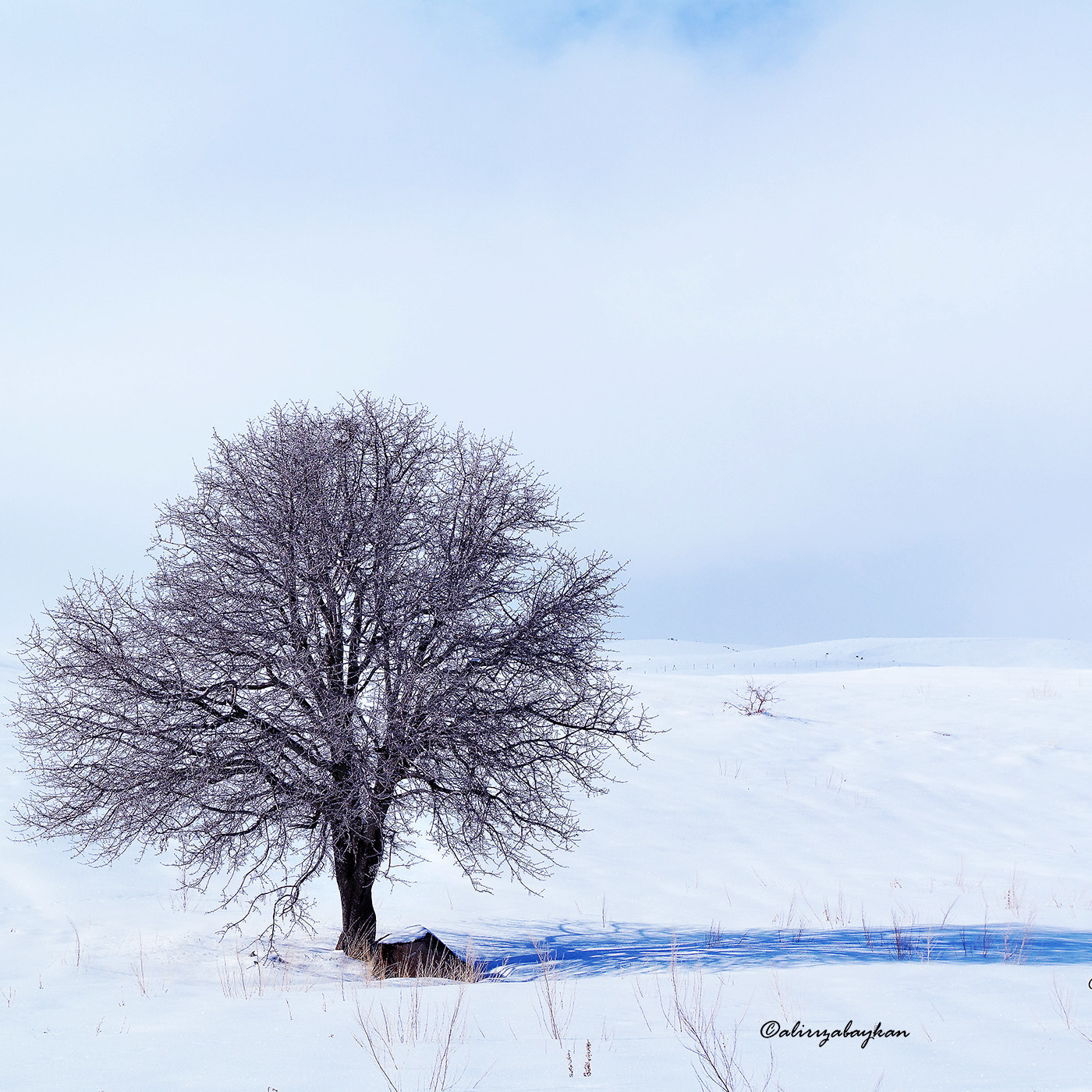 Samsung NX30 + NX 50-200mm F4-5.6 sample photo. Tekbaşına photography