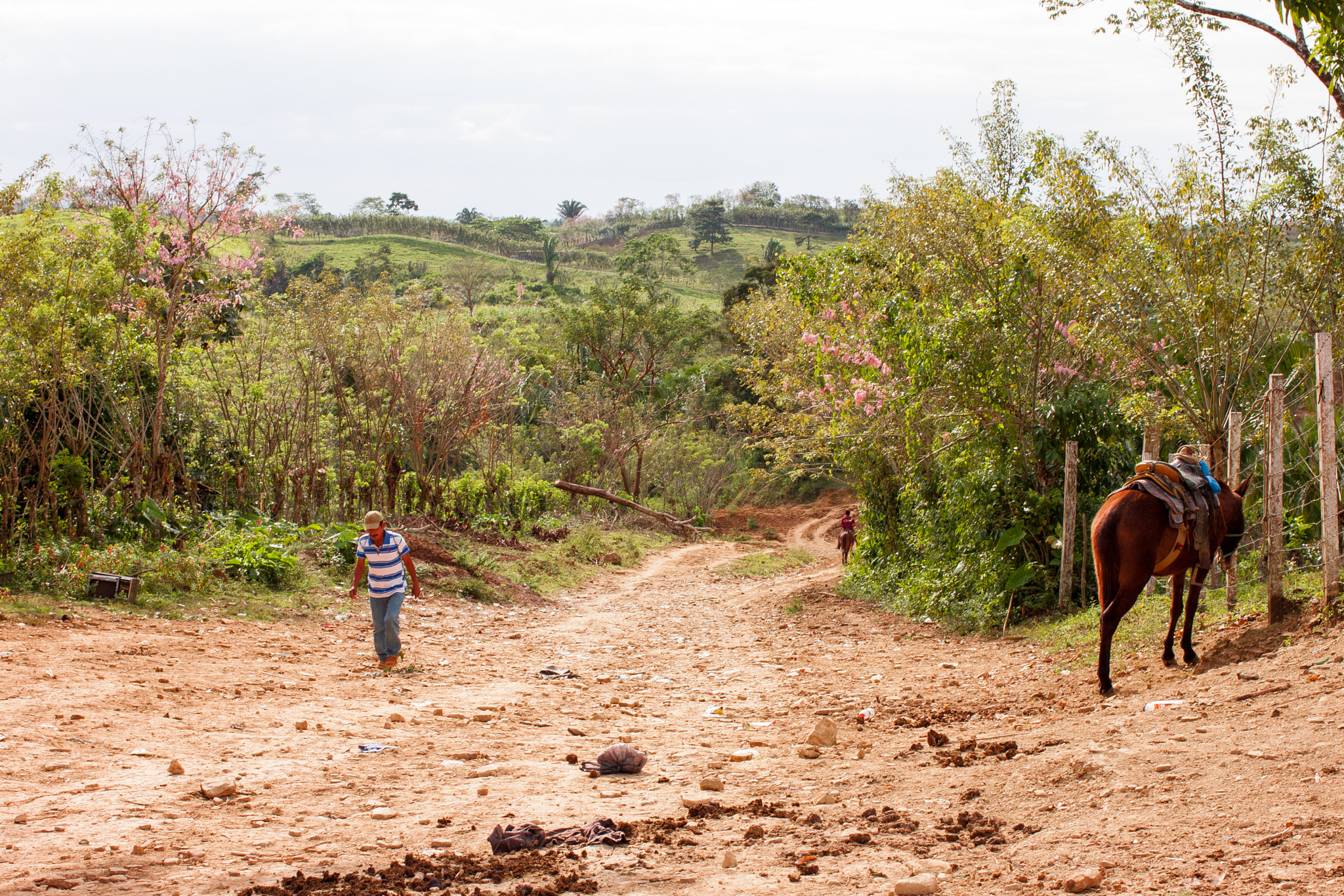 Canon EF 40mm F2.8 STM sample photo. Guatemalan border @ jalacte photography
