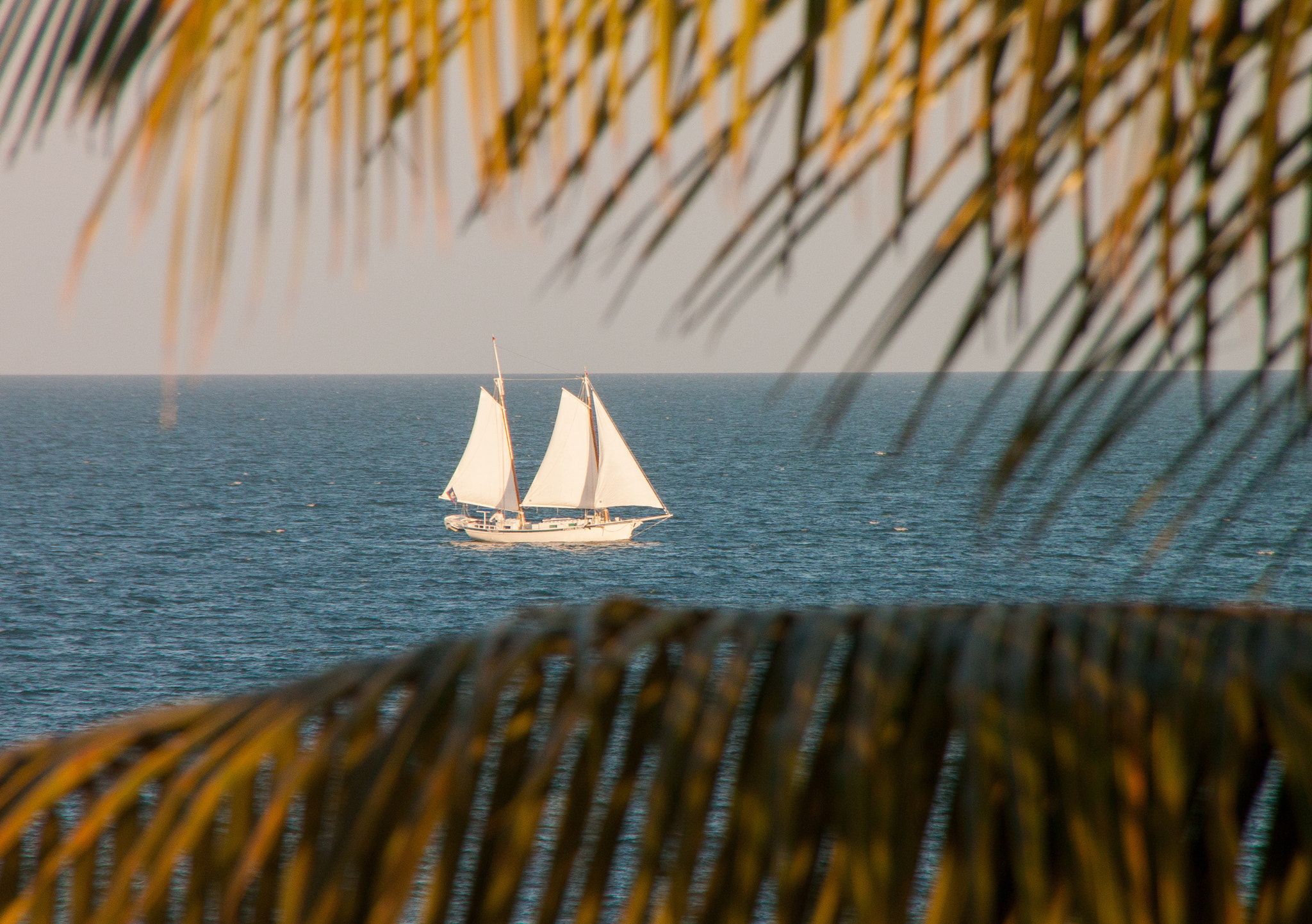 Canon EOS 500D (EOS Rebel T1i / EOS Kiss X3) sample photo. Schooner in the gulf of honduras photography