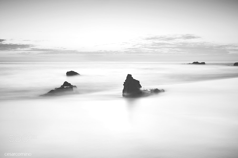 Nikon D4 sample photo. Paz en tarifa photography