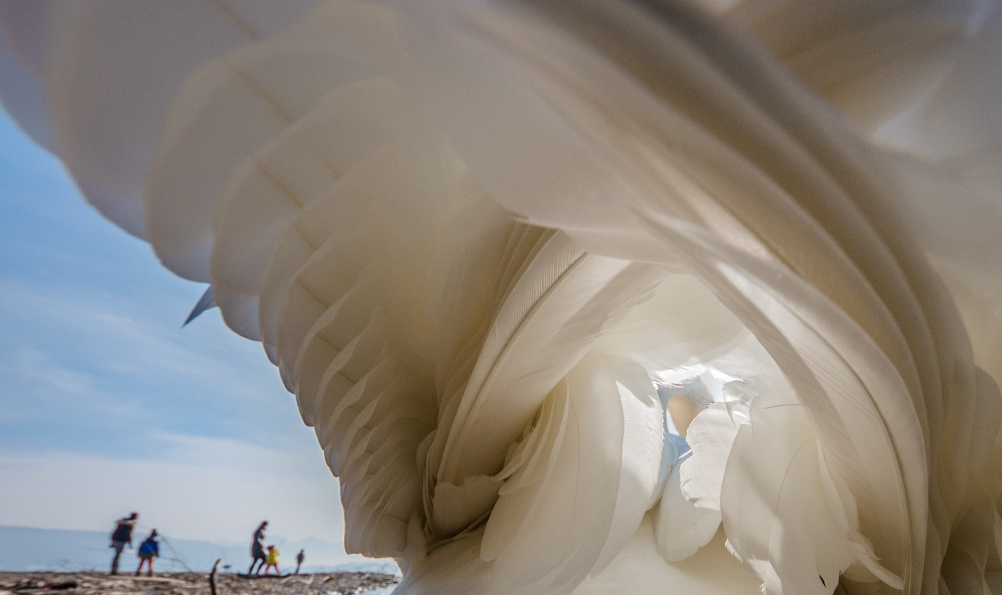 Sigma 8-16mm F4.5-5.6 DC HSM sample photo. Mitten drin photography