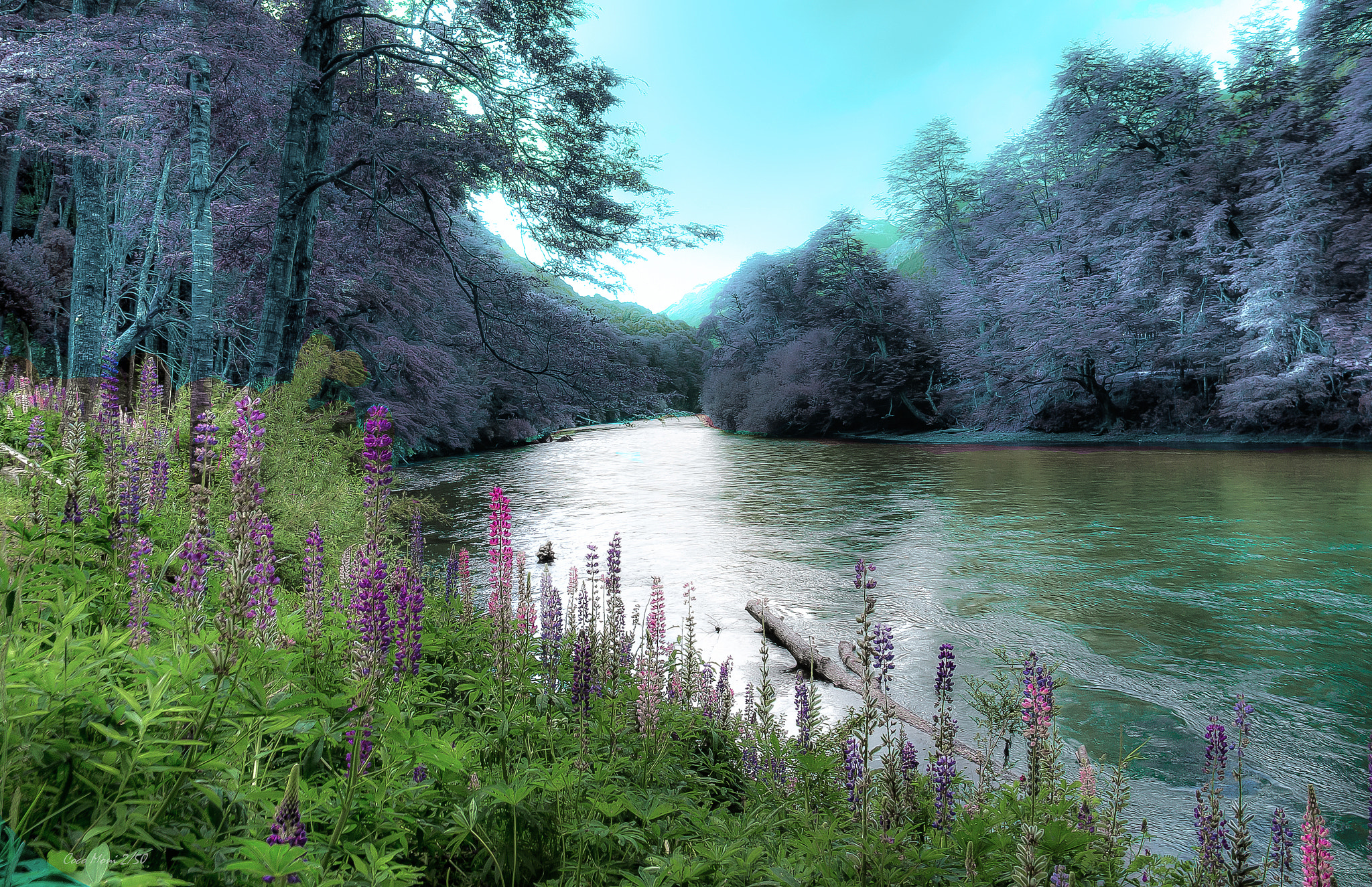 Nikon D600 sample photo. Rio manso photography