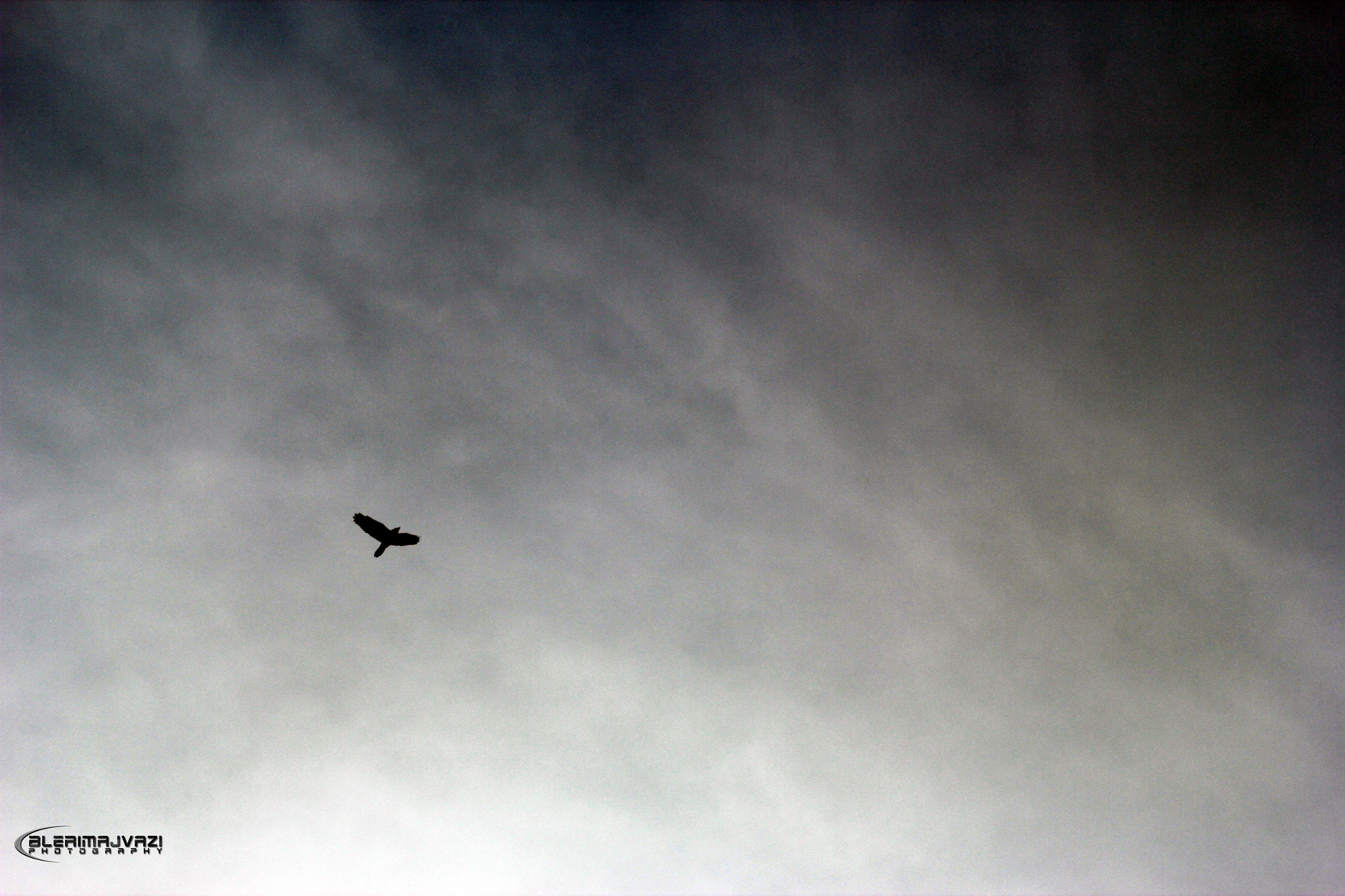 Canon EF 80-200mm F4.5-5.6 II sample photo. Flight of the crow photography